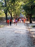 IMG_20231001_094156.jpg